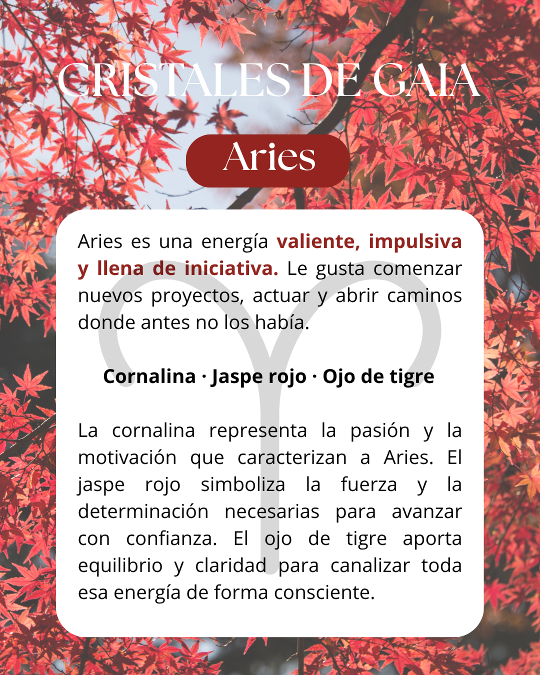 Set Aries ♈️