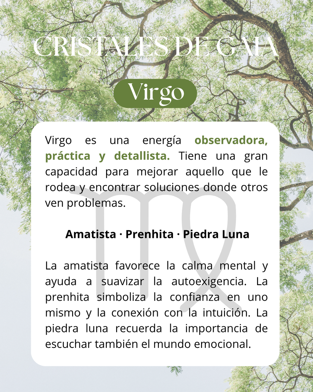 Set Virgo ♍️