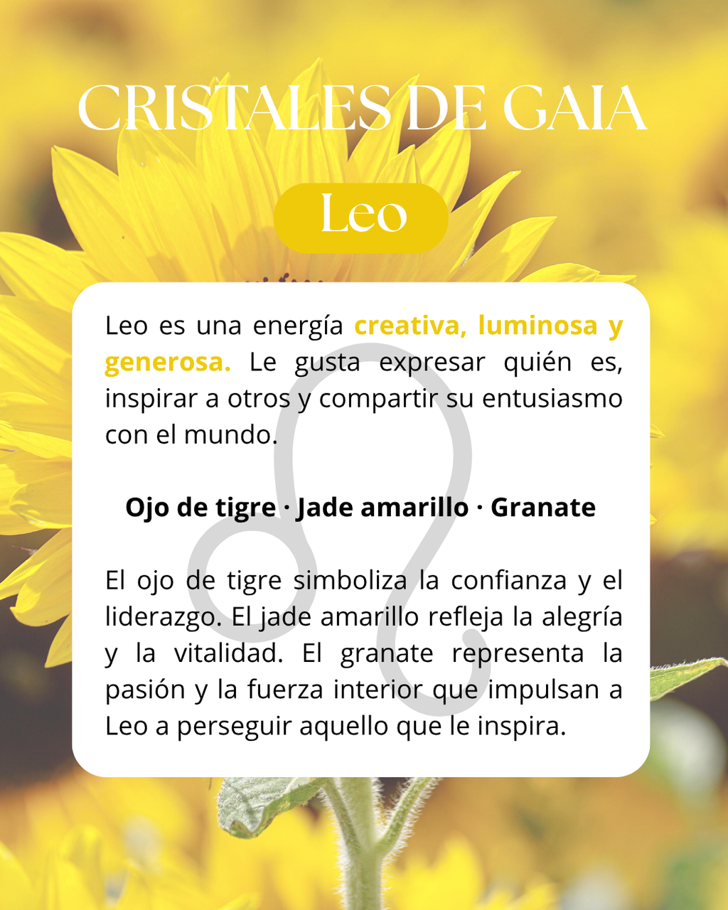 Set Leo ♌️