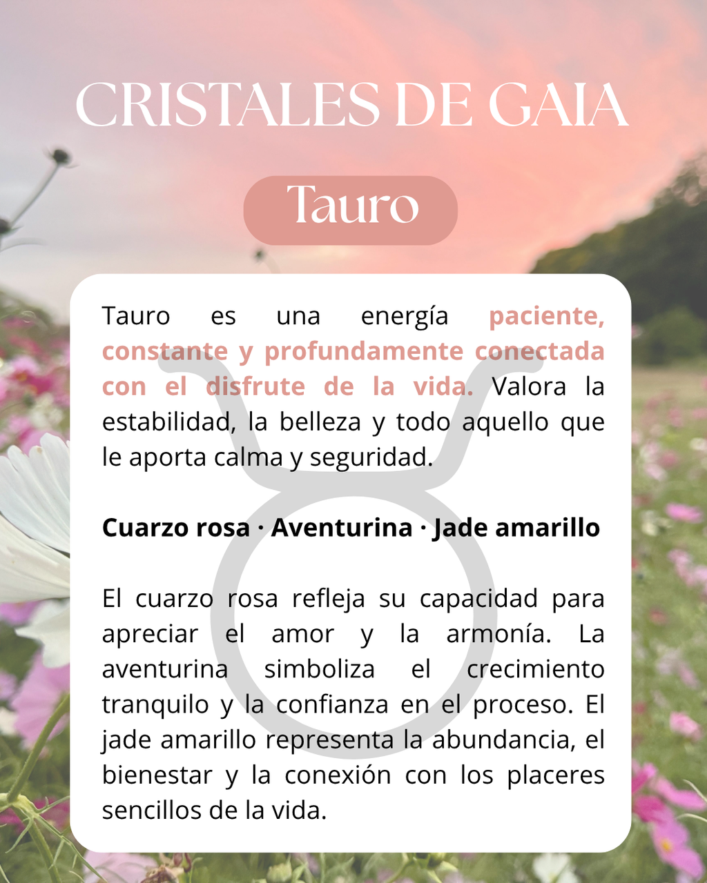 Set Tauro ♉️