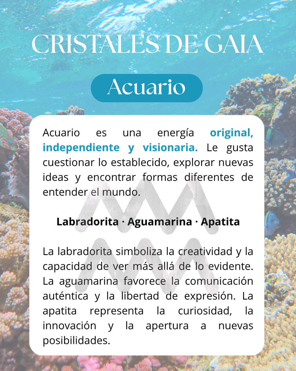 Set Acuario ♒️