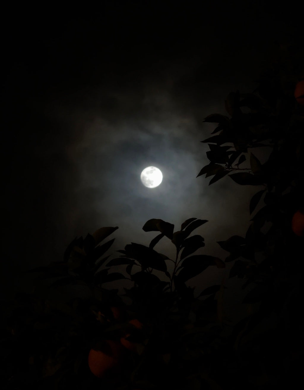 Noite