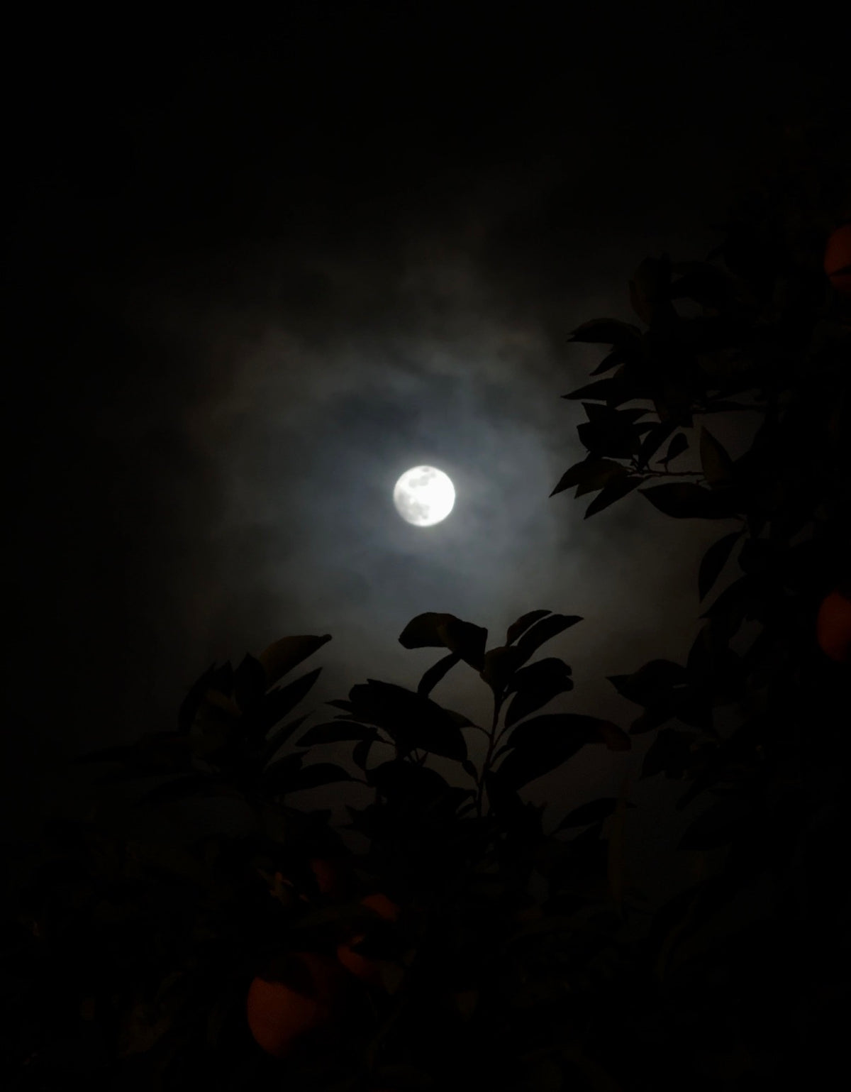 Noite