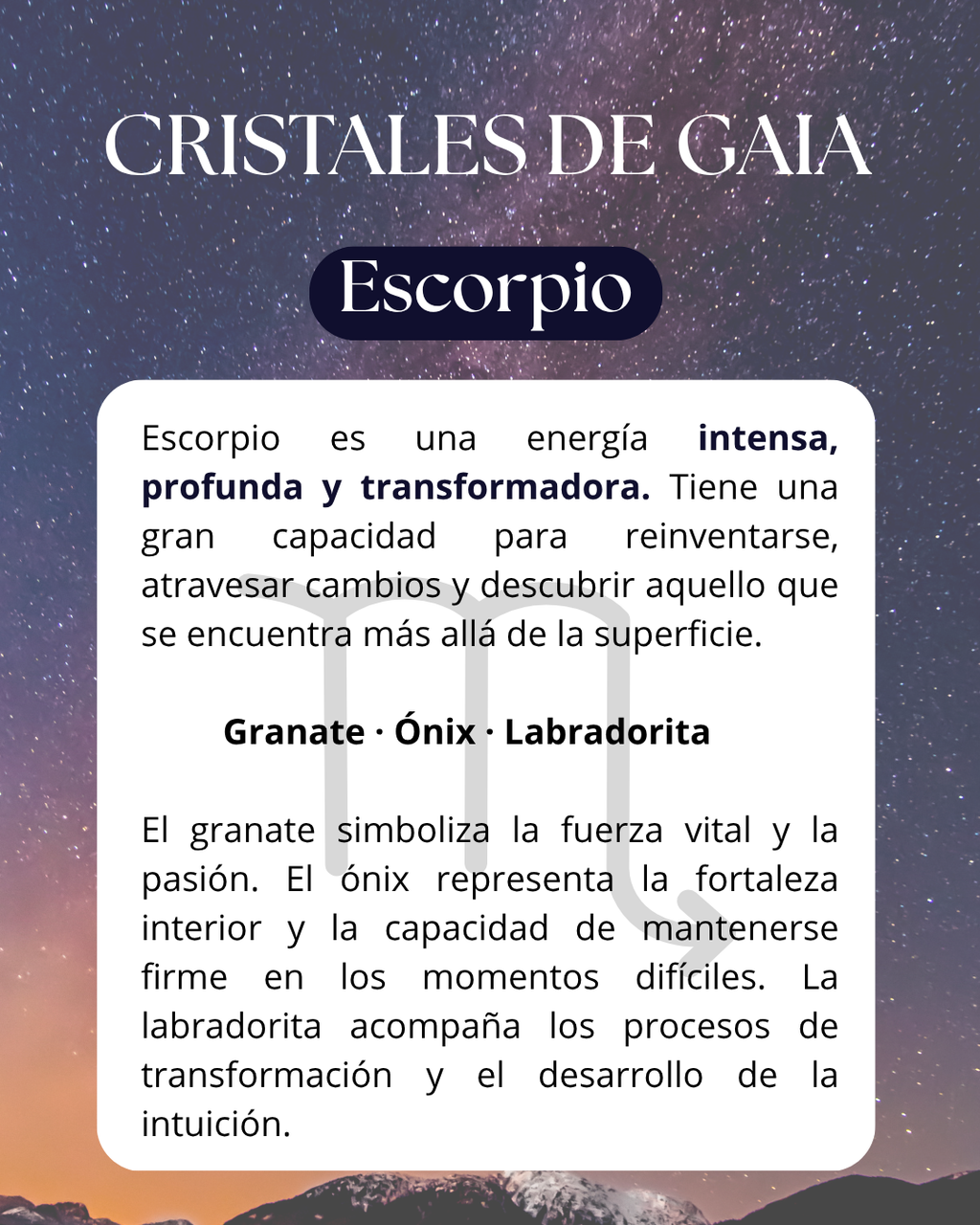Set Escorpio ♏️