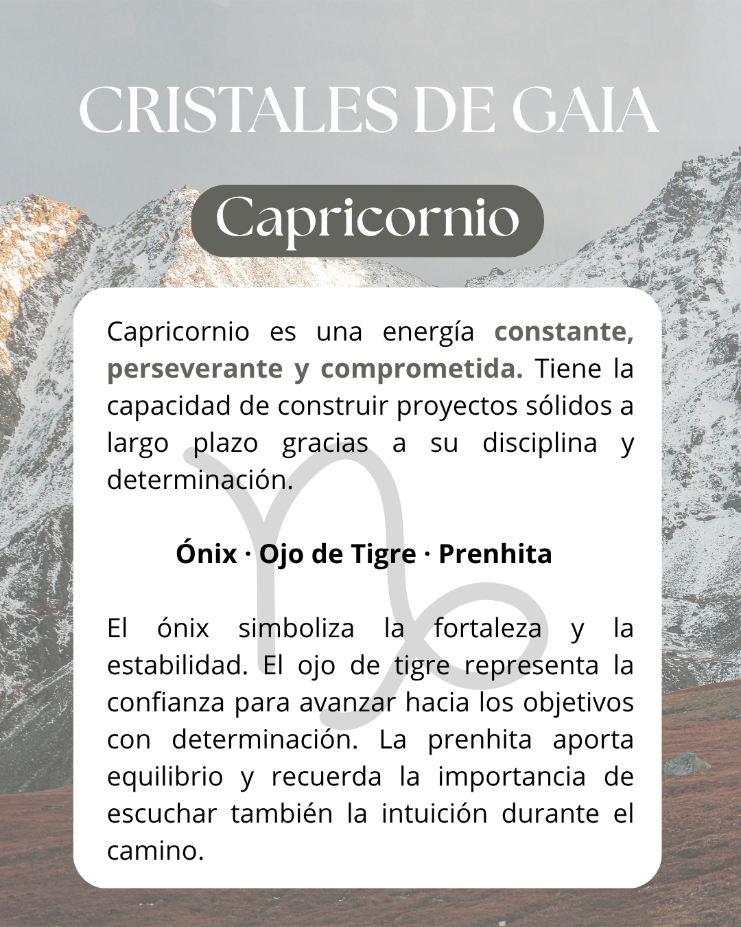 Set Capricornio ♑️
